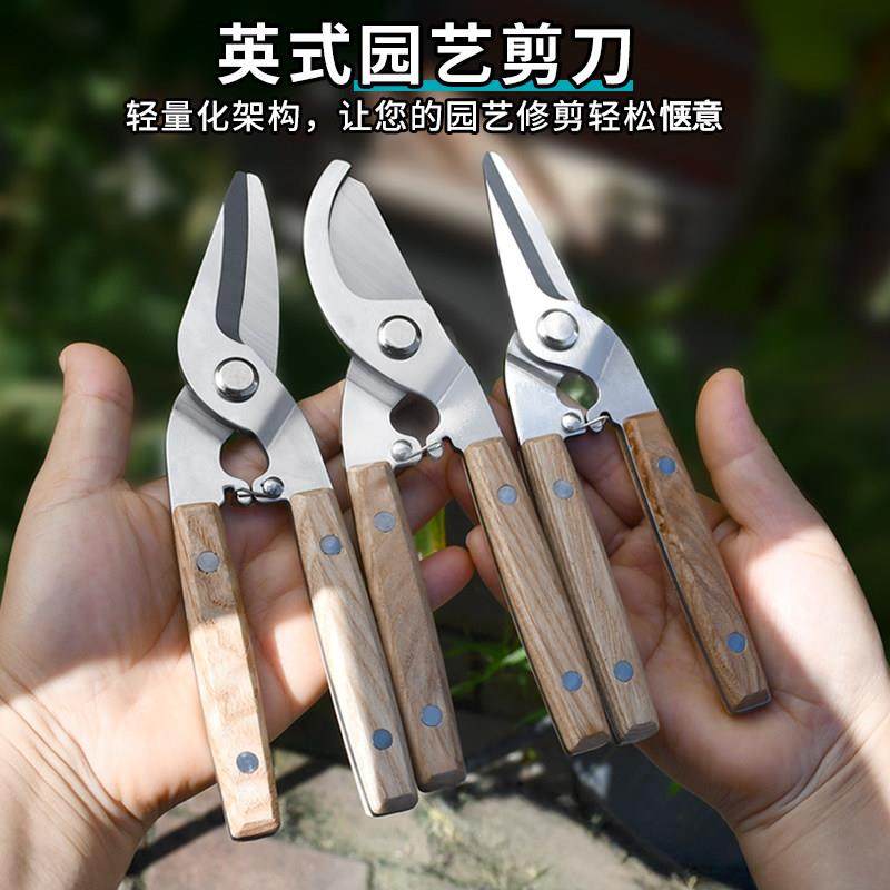 不锈钢家用果树修枝剪园艺剪花枝花艺剪花奔强力户外强力摘果剪刀,鲜花速递/花卉仿真/绿植园艺,剪刀,淘宝优惠券,粉丝福利购,淘宝优惠卷