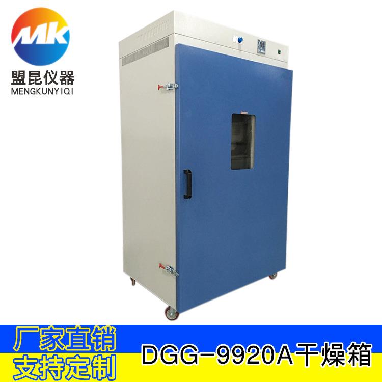 DGG-9920A干燥箱立式电热恒温鼓风干燥箱电热烘箱