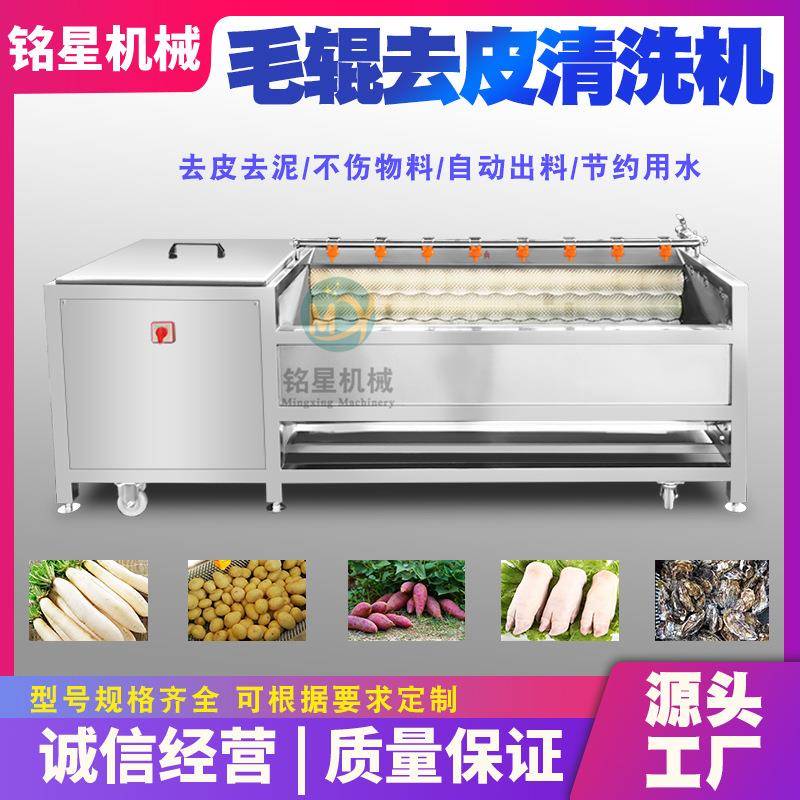 厂家销售红枣清洗机全自动红山果清洗设备商用毛刷式山楂清洗机
