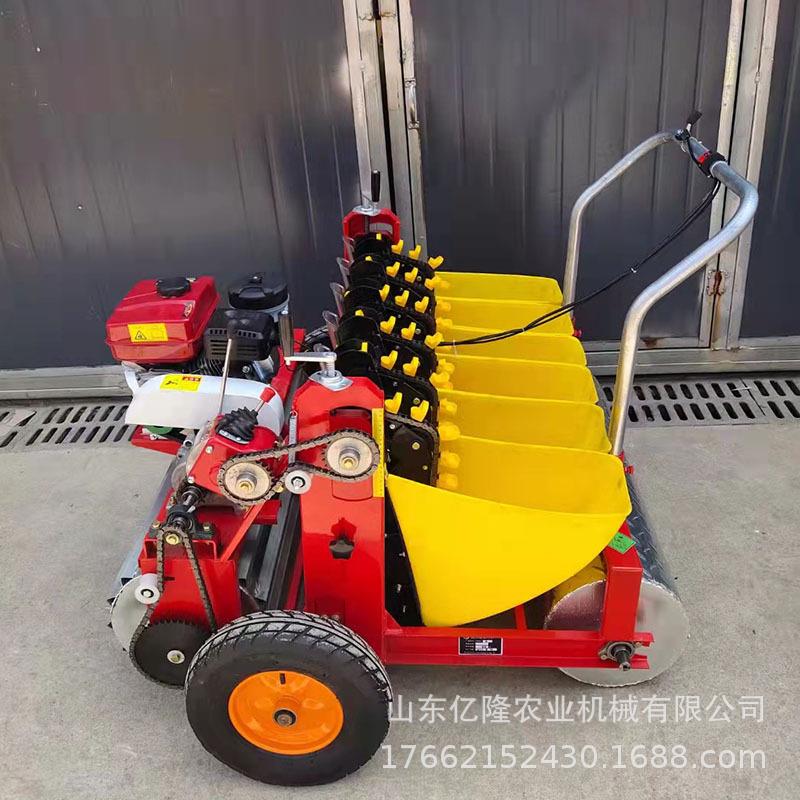 手推式大蒜播机蒜头朝上大蒜点种机多行大蒜播种机