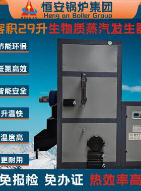 0.5吨生物质蒸汽发生器蒸发量500公斤压力0.7Mpa温度170度价格