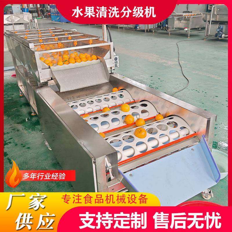 全自动柑桔洗果分级设备砂糖橘清洗分选机小青柑陈皮柑清洗选果机,清洗/食品/商业设备,果蔬加工设备,淘宝优惠券,粉丝福利购,淘宝优惠卷