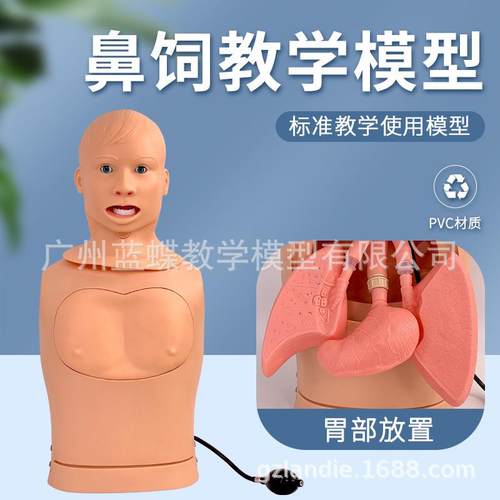 鼻胃管与气管护理模型鼻饲管模具切开吸痰训练气管插管洗胃插胃管