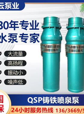 广州白云泵业喷泉泵QSP水景园林景观专用潜水泵QS音乐喷泉泵380V
