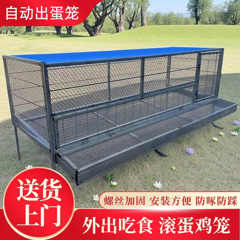 鸡笼子家用室外防雨自动收蛋防啄防黄鼠狼防鼠加厚防锈下蛋养殖笼