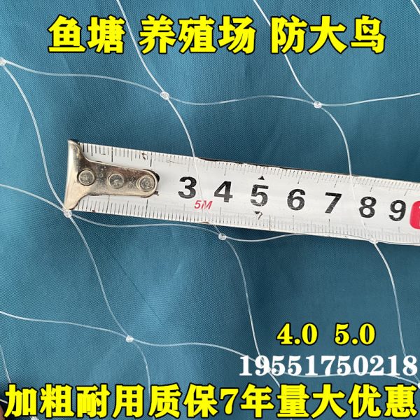 鱼塘防鸟网养殖防大鸟青蛙泥鳅锦鲤养殖场天网4公分5公分防鸟天网