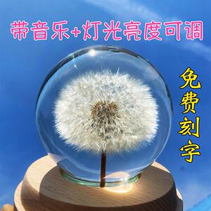 蒲公英的约定水晶球八音盒永生花标本小夜灯生日礼物周杰伦