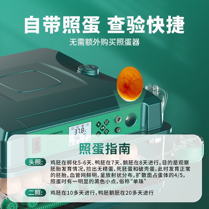 全自动孵化器小型家用鸡鸭鹅孵蛋器全自动智能孵化机芦丁鸡孵化箱
