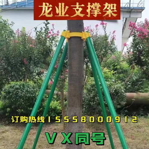 树木固定器防风大树支撑杆绿化苗木镀锌树撑护树架支撑.固定器园