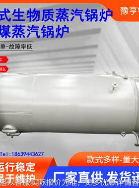 燃气锅炉全自动燃煤锅炉气化炉煤气发生炉燃油/燃气热水蒸汽锅炉