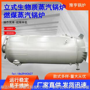 燃气锅炉全自动燃煤锅炉气化炉煤气发生炉燃油/燃气热水蒸汽锅炉