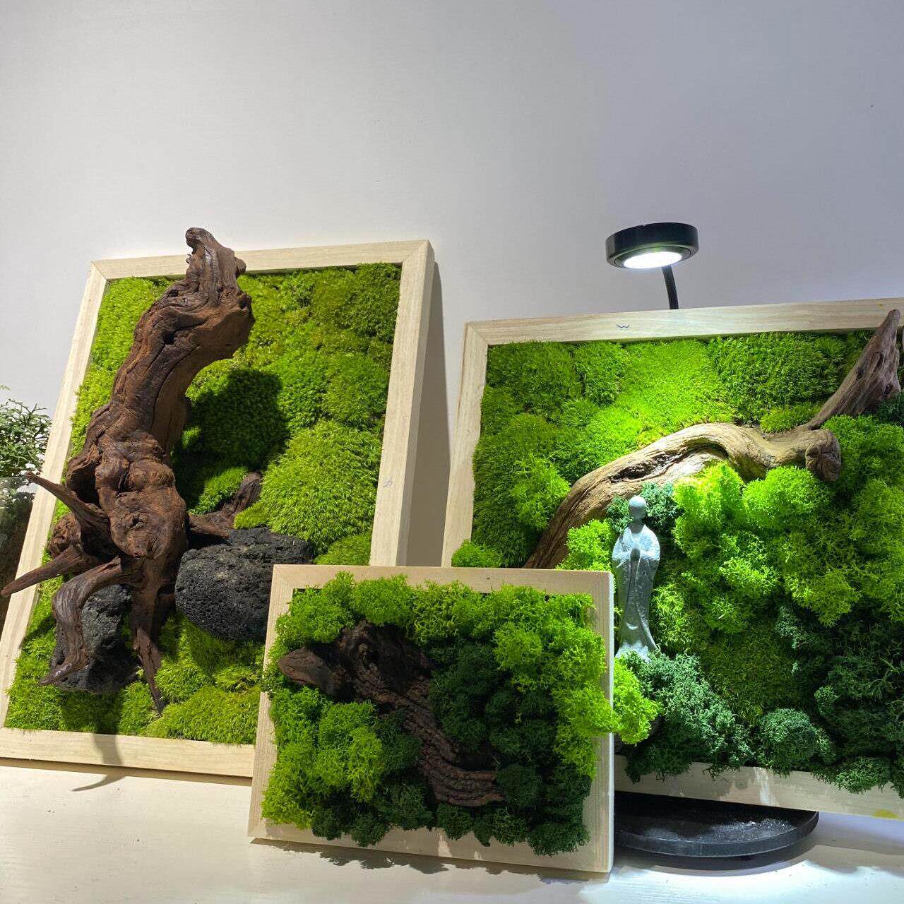永生苔藓画植物墙假青苔彷真绿苔装饰背景墙壁挂遮丑白发藓装饰画