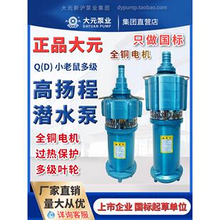 大源Qd级多级潜水泵220V高扬程家用水泵深井水泵三相农业灌溉泵