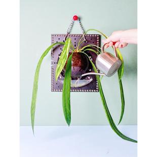 花烛自吸丙烯酸植板鹿角蕨类植板小工 奢华镶嵌超强挂板 银