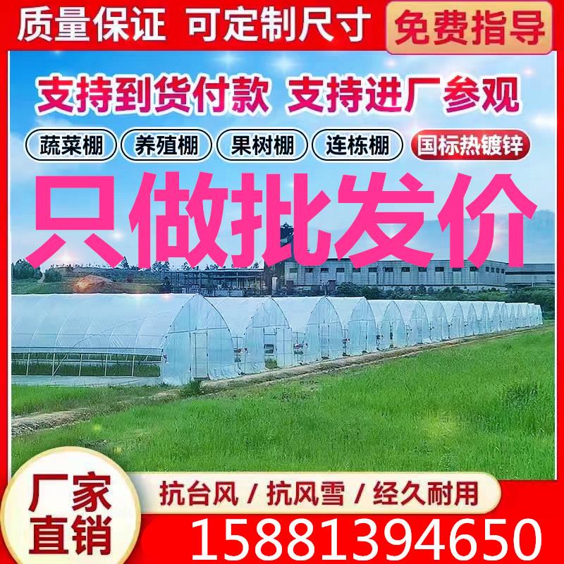 大棚钢管骨架温室大棚蔬菜大棚农业种植钢架热镀锌钢管养殖棚全套