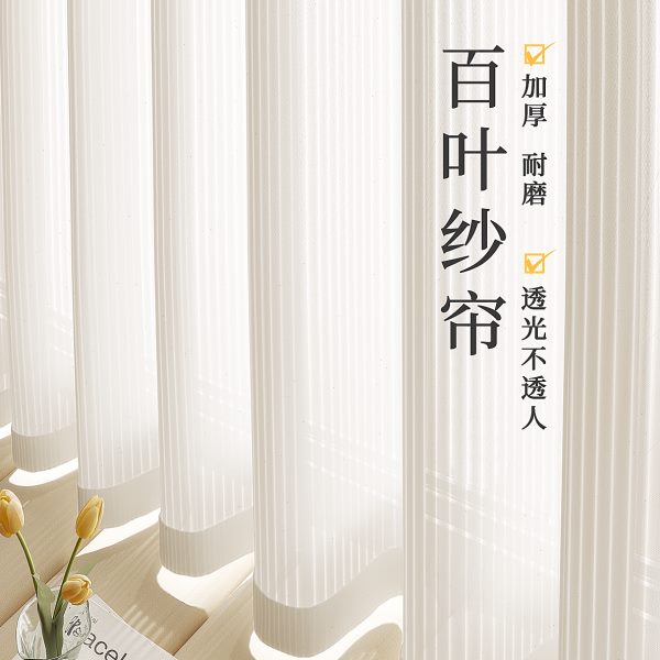 竖百叶窗帘纱帘窗纱客厅阳台飘窗梦幻帘透光不透人卧室2024新款沙