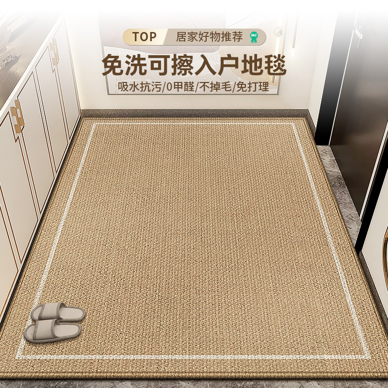 入户门地垫耐脏免洗可擦防滑门垫2024新款玄关R门口脚垫可裁剪地