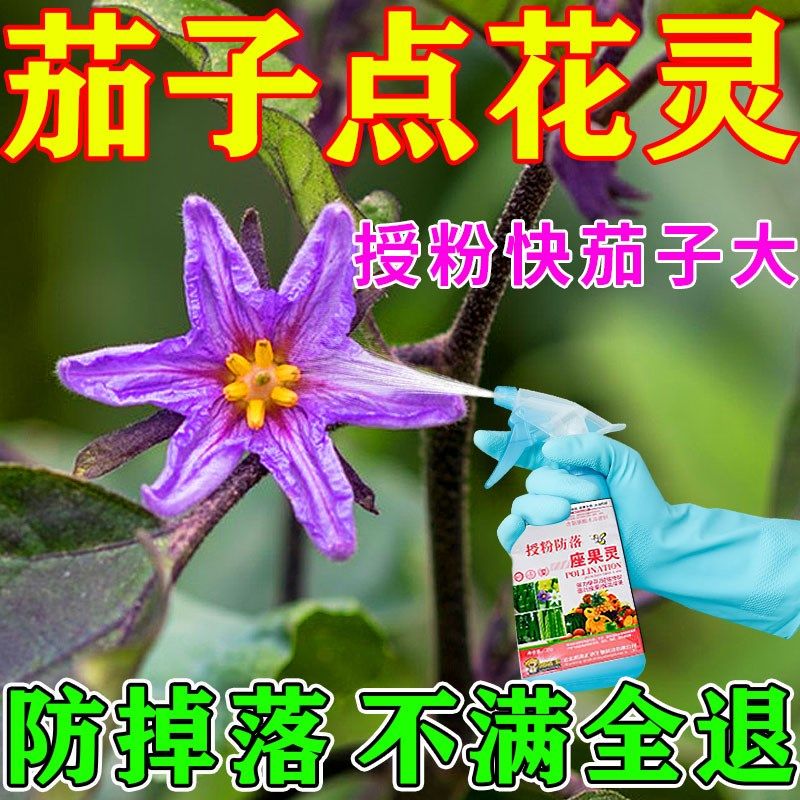 茄子点花药黄瓜西红柿授粉番茄坐果葡萄保花保果药防落果专用肥,鲜花速递/花卉仿真/绿植园艺,介质/营养土,淘宝优惠券,粉丝福利购,淘宝优惠卷