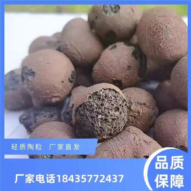 湖北建筑轻质环保粘土陶粒回填化妆室垫底下沉式厕所填充颗粒