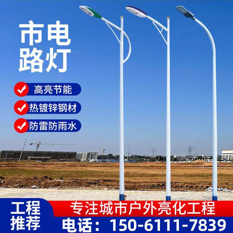 Led路灯灯杆厂家定制新农村工程双臂456789102米户外防水庭院高杆
