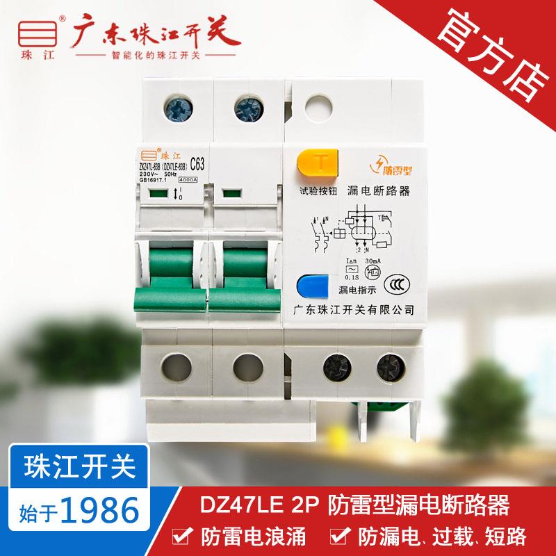 珠江开关 DZ47LE 2P 63A 微型断路器 防雷浪涌保护 漏电空气开关