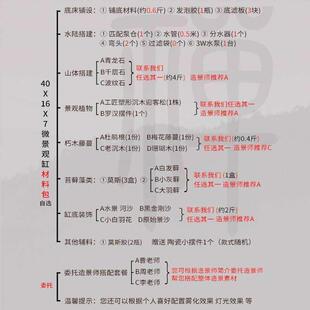 水陆缸微景观造景套餐植物超白材料骨架方缸小鱼缸玻璃40小型装饰