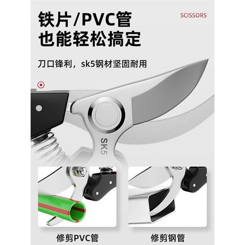 德国剪树枝专用剪刀园艺修枝剪园林修剪果树修枝修花家用花艺