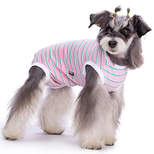 母狗狗连身生理裤姨妈裤防骚扰防乱尿四脚条纹衣断奶服防舔纯棉新