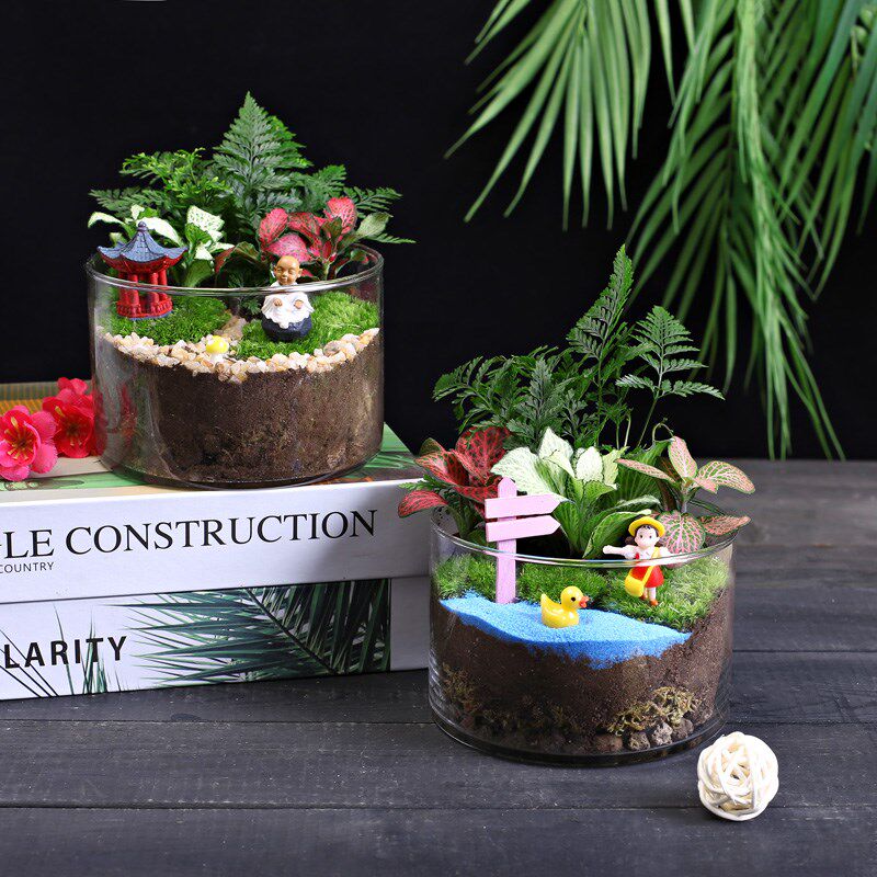 12c大号直筒瓶创意鲜活苔藓微景观diy材料包生态瓶子摆件礼品套装