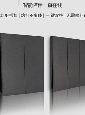 凌动开关 1开 2开 3开 双控开关 带凌动功能的智能灯才可以使用