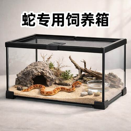 蛇专用饲养箱爬宠箱蛇类爬虫饲养箱造景玻璃缸防逃饲养缸生态箱子