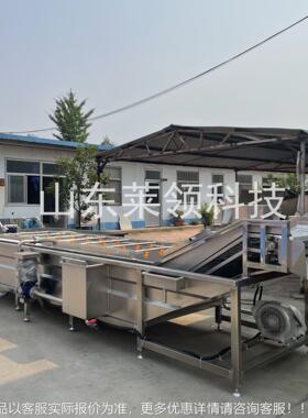 黄桃罐气泡器清洗 多功能毛豆果蔬清洗机机 脱水蔬菜加头CIG工设