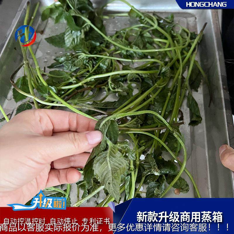 肉类商用蒸箱全自动粮中草药蒸煮推荐  设699备宠物控时蒸房,厨房电器,商用蒸炉/商用蒸包炉,淘宝优惠券,粉丝福利购,淘宝优惠卷