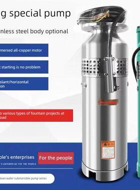 上海人民Qsp喷泉泵景观假山304不锈钢潜水泵