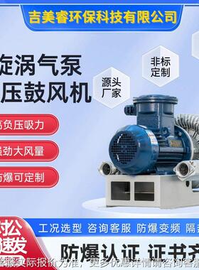 单式段漩涡气泵3kw双段离心高压鼓风机2RB10 污水处理爆气73580-0