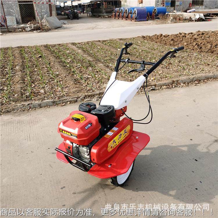 型两驱微耕机 WUZ汽油柴业油起垄农用手扶旋机 小农松土耕地耕机,农机/农具/农膜,耕种机械/微耕机/开沟机,淘宝优惠券,粉丝福利购,淘宝优惠卷