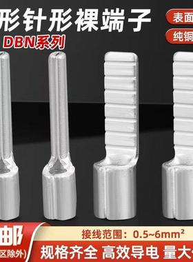 国标紫铜扁针型裸端头DBN PTN1.25 2 5.5鸭嘴鼻子鸭舌端子 插片