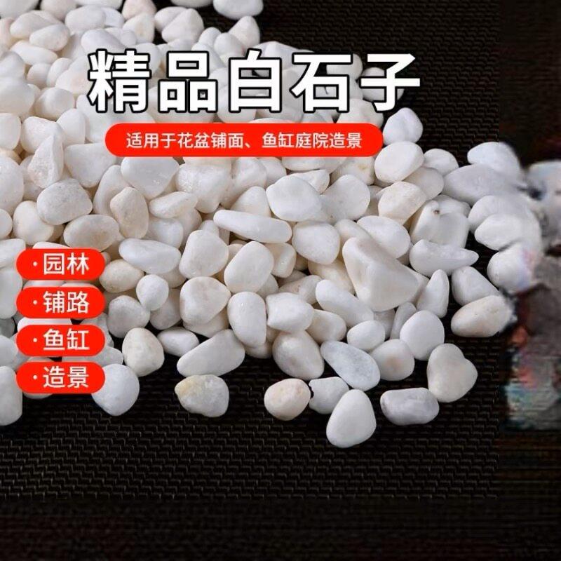 四川白石子铺地庭院造景白色石头花园装饰小石子白砾石白石子