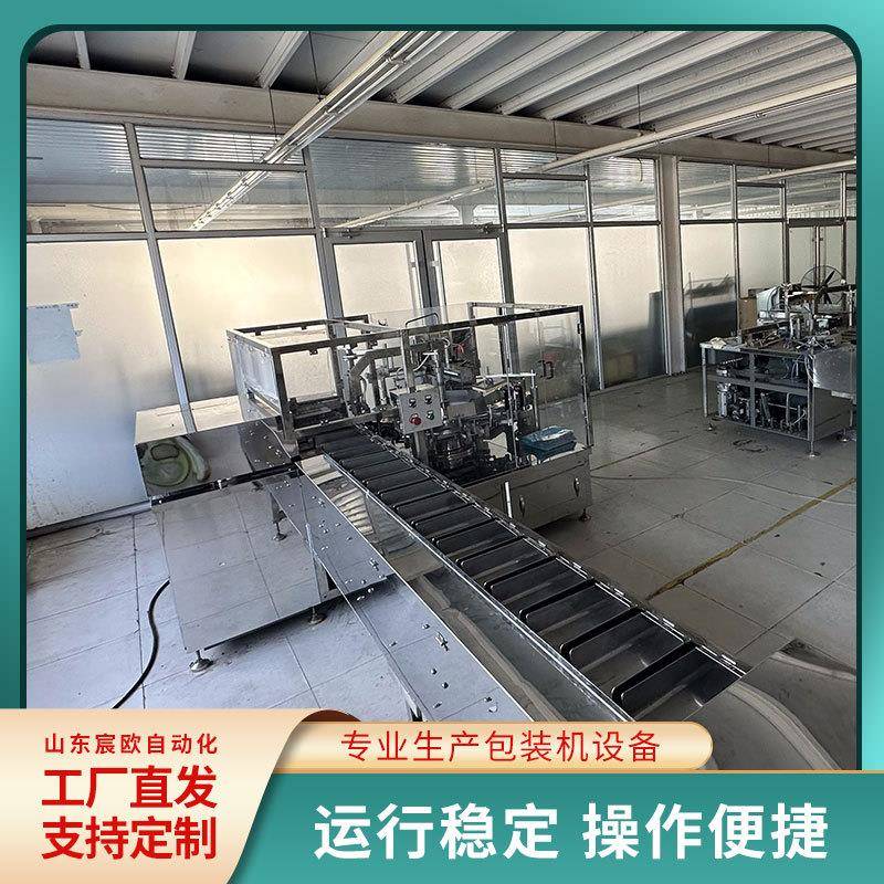 平推给袋式包装机全自动裙带菜包装设备鸭蛋真空封口设备