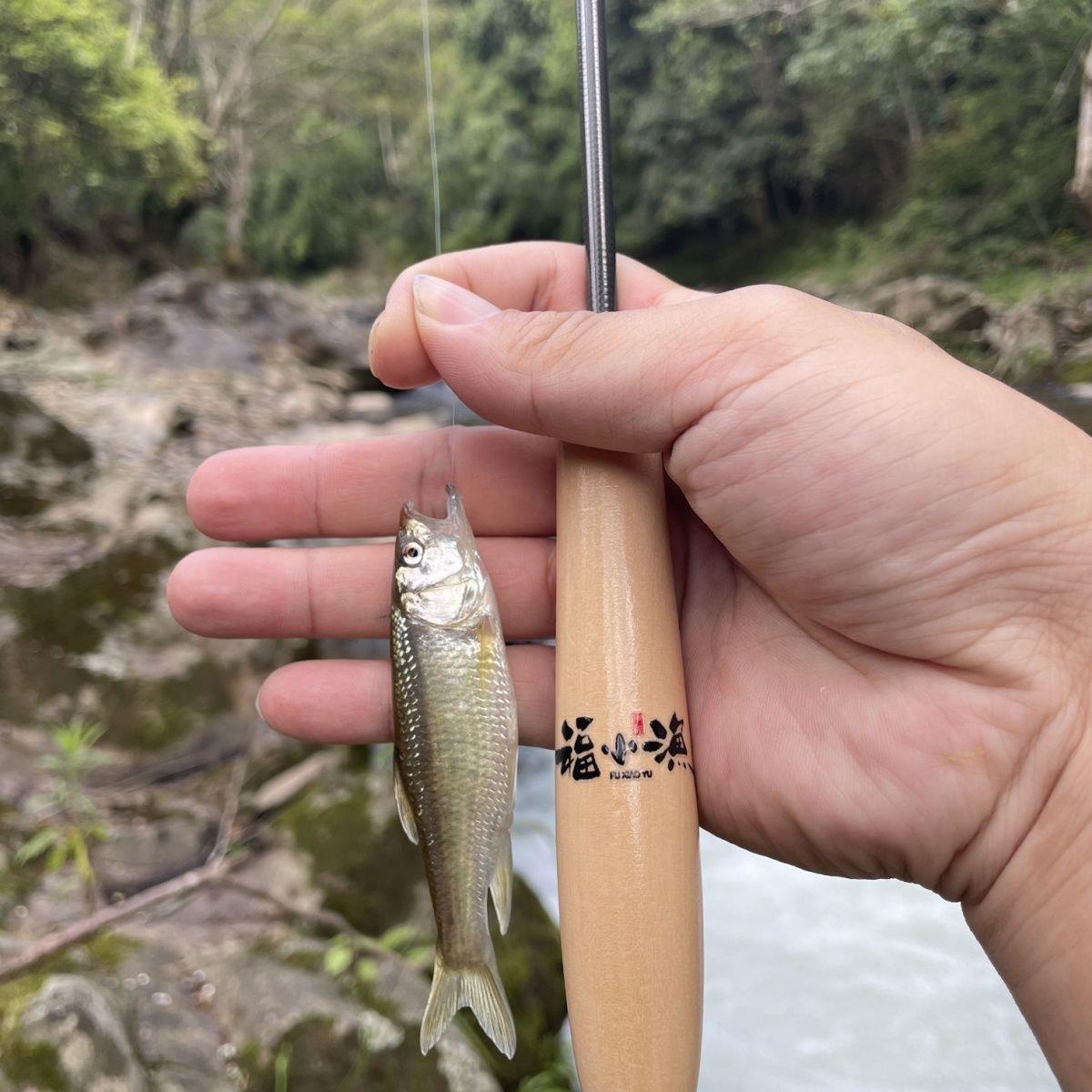 碳素溪流竿至尊可携式赠饵套装鳑鲏马口鱼小白微物钓竿