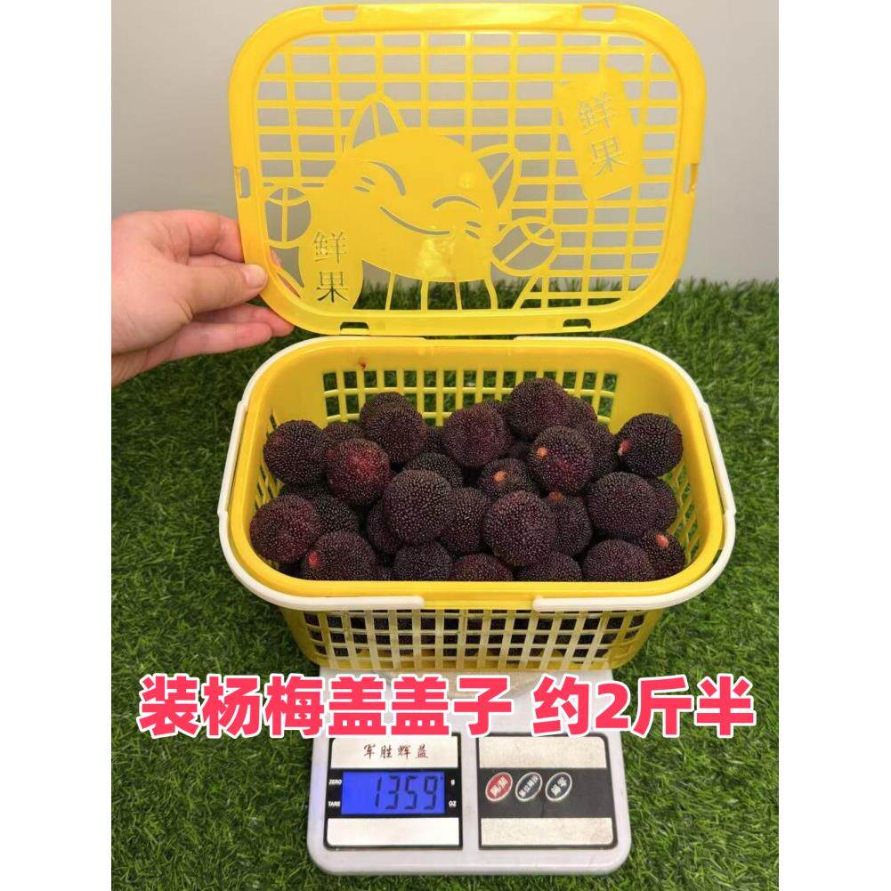 3斤塑料杨梅篮子草莓篮手提水果篮龙眼筐荔枝筐篮子真空包装带盖
