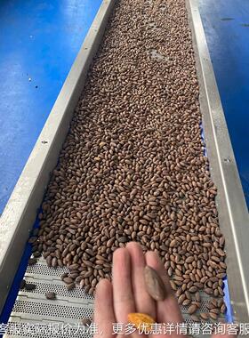 商用大型PUW电磁炒锅 豆粕麦芽滚炒式锅筒 连续油芝炒货流水麻线