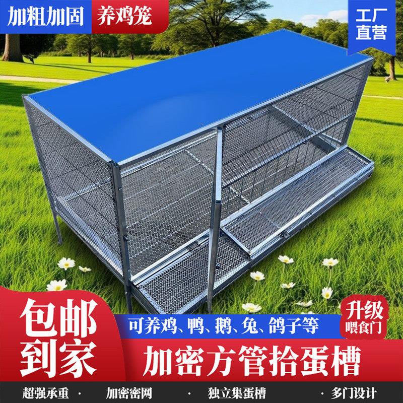 鸡笼子家用室外防雨自动收蛋防啄防黄鼠狼防鼠加厚防锈下蛋养鸡笼