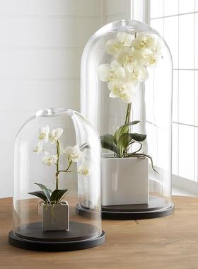 玻璃罩创意大号现代防尘罩欧式客厅简约永生花微景观样板装饰摆件