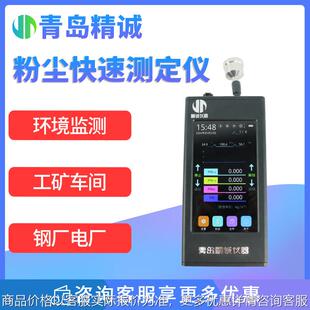 便携式粉尘检测仪工业喷涂粉尘浓度监测布袋煤粉PM10颗粒物测定仪