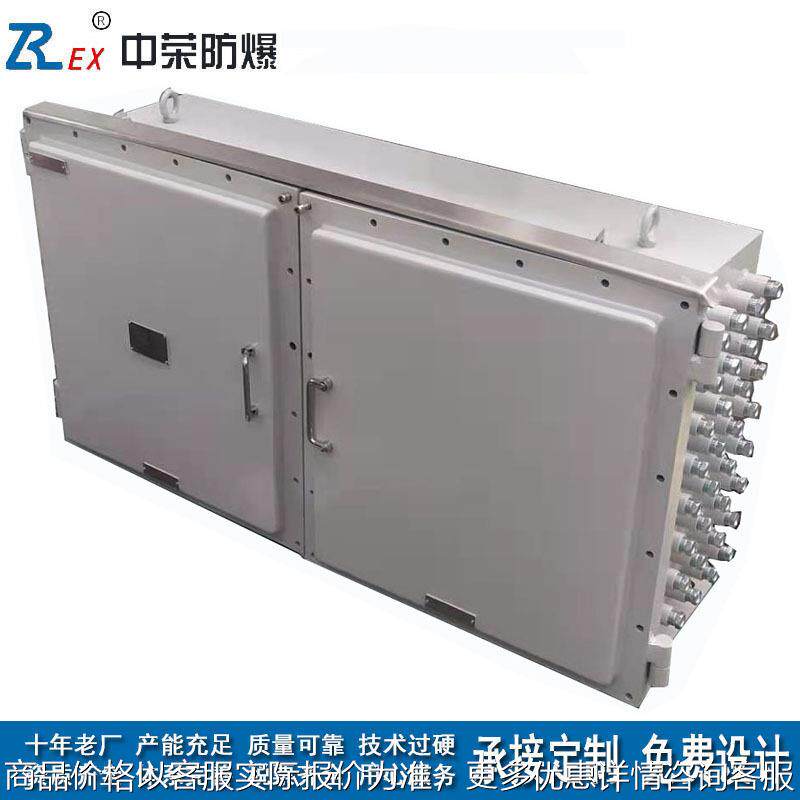 左右分腔防爆接线配电仪表箱 印染油漆ⅡB碳钢隔爆控制电源箱厂家