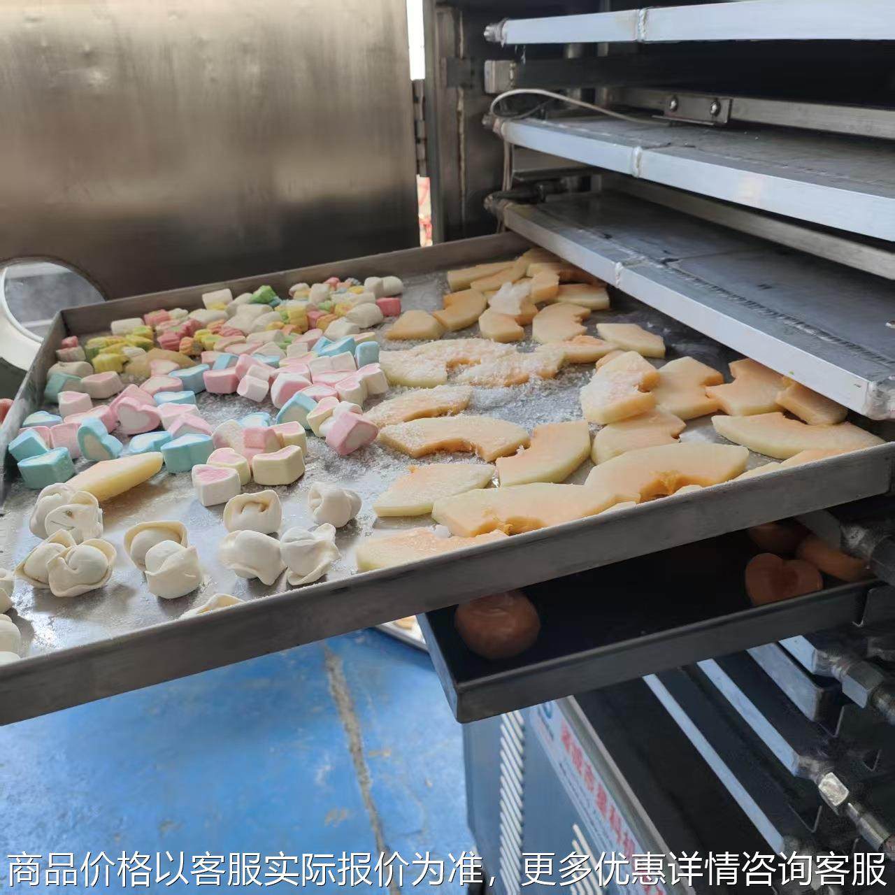 榴莲芒果冻干保持原味果蔬真空锁鲜机全自动小型低温干燥设备厂家