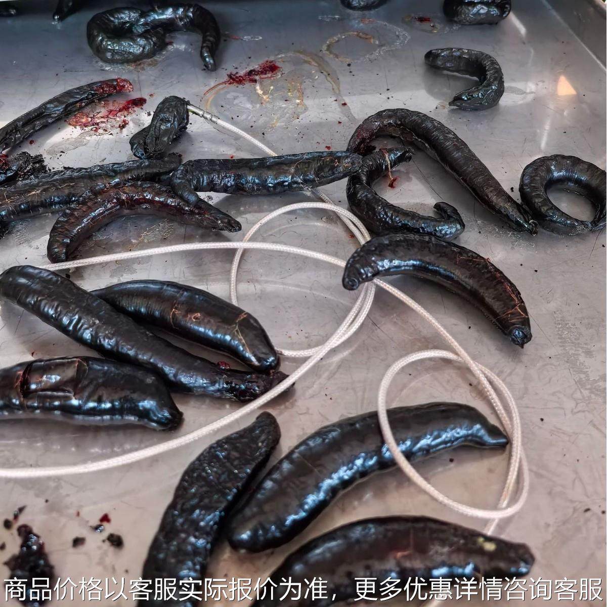 水蛭蚯蚓中药材真空冻干机果蔬锁鲜干燥机芒果冻干延长保质期设备