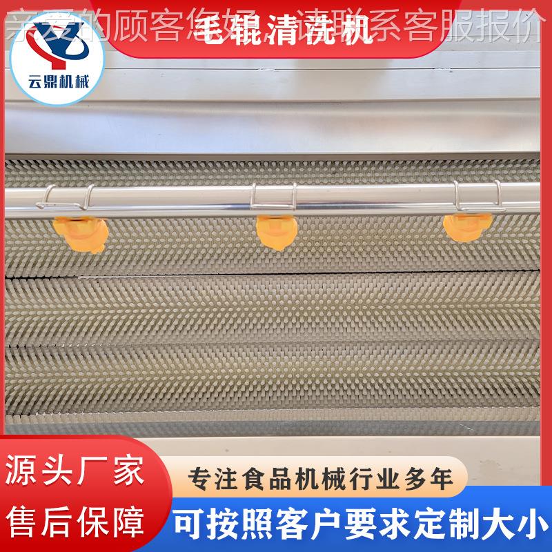 花生根豆芋VLF头茎类毛刷清洗辊机 全自动U型毛清洗机 生姜去皮土