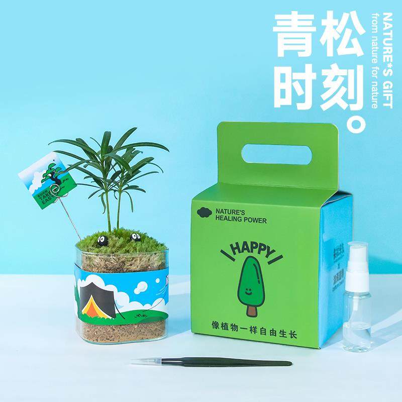 失控绿氧 创意绿植摆件放青松罗汉松办公室桌面植物盆栽礼物